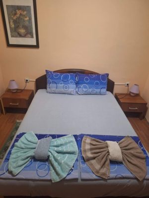 Soba_2_Smestaj_Lena_Sokobanja_5